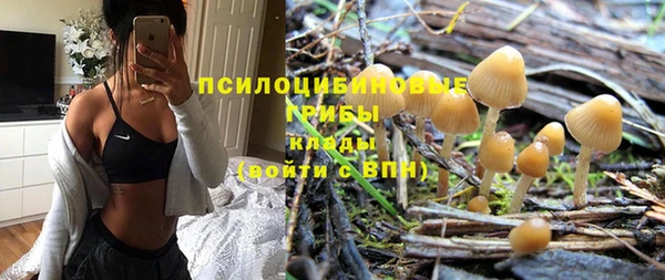 хмурый Алексеевка