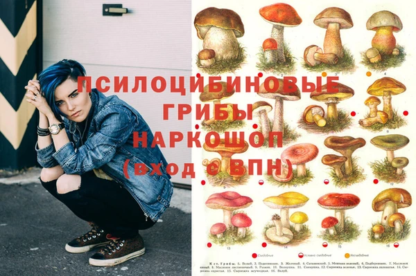 MDMA Premium VHQ Алзамай