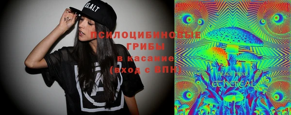 соль ск Алексин
