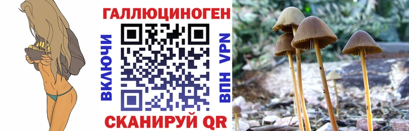где можно купить   Перевоз  Псилоцибиновые грибы ЛСД 